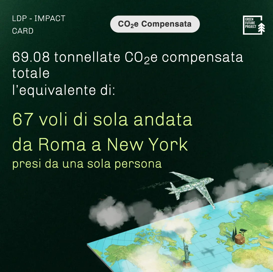 carbon offset 6