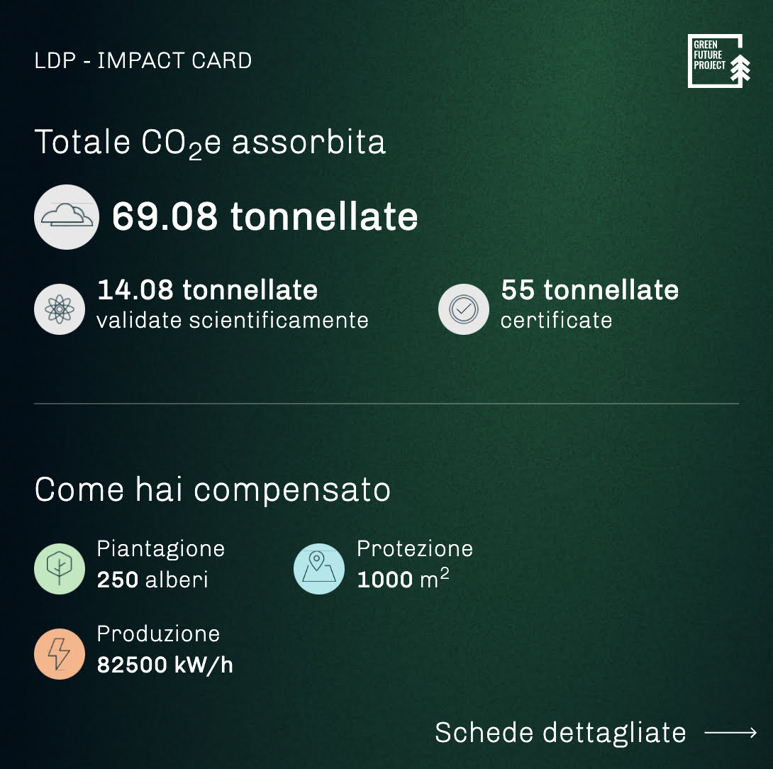 total Summary 6